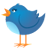 Twitter icon